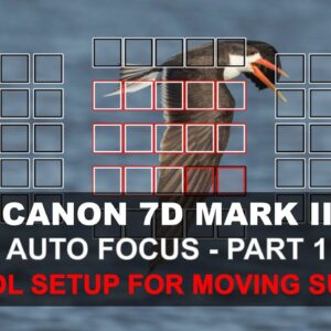 Canon 7D Mark II Auto Focus - Part 1/5: Control Setup for Moving Subjects