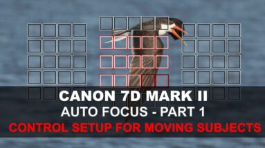 Canon 7D Mark II Auto Focus - Part 1/5: Control Setup for Moving Subjects 6 Canon 7D Mark II Auto Focus - Part 1/5: Control Setup for Moving Subjects