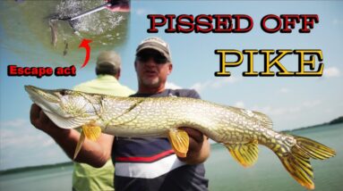 How to catch BIG PIKE in WEEDS