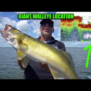 How to Catch GIANT Summer Walleyes