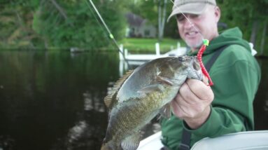 HOW TO: Locate & Catch Fall Bass