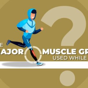 What Are the Major Muscle Groups Used while Running?