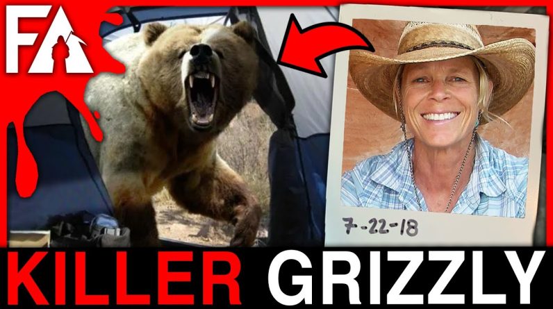 This Grizzly Bear Eats Campers! (Animals Gone WRONG)