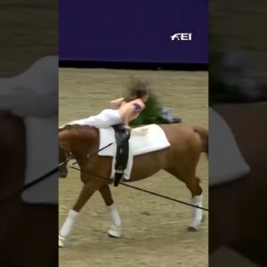 Equestrian insanity! 🐎